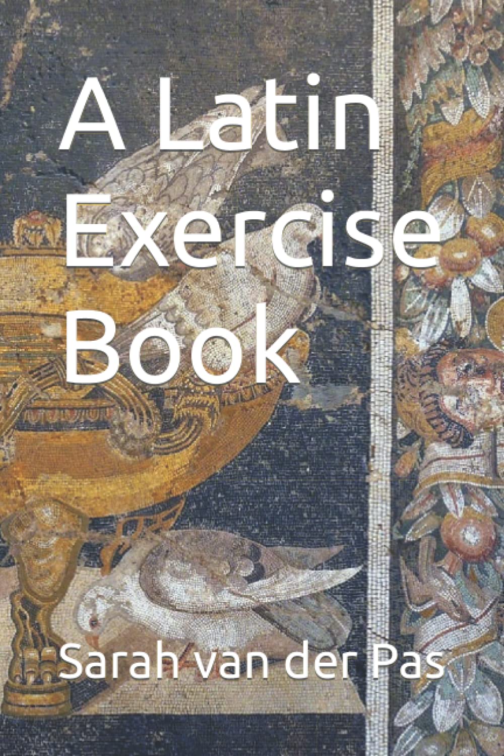 洋書 LATIN Amazon.co.jp: A Latin Exercise Book : van der Pas, Sarah: 洋書
